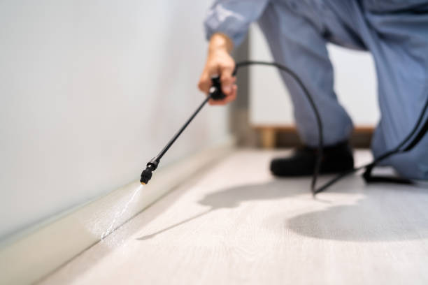 Bed Bug Pre-Treatment Preparation Assessment in Hernando Beach