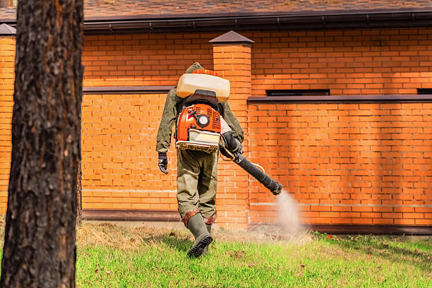 Bed Bug Clearance Verification and Documentation in Hernando Beach